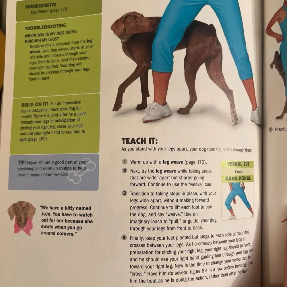 101 dog tricks